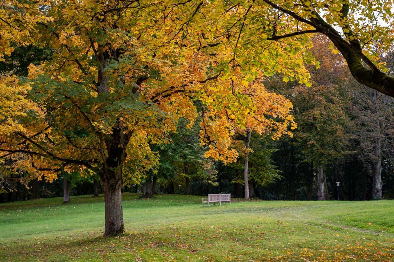 Park Am See X Nattika Ayurveda, Hotel Health Spirit Penzlin Kültér fotó